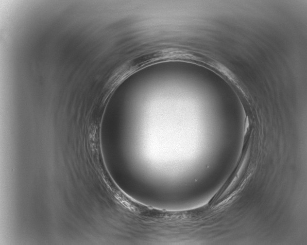 X0000059811001200510241350