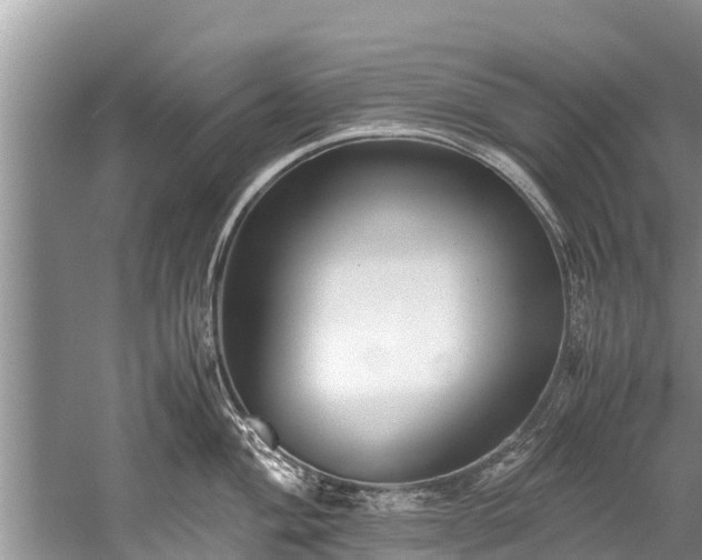 X0000059811004200510241350