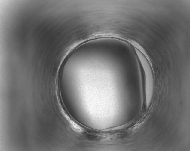 X0000059811005200510241350