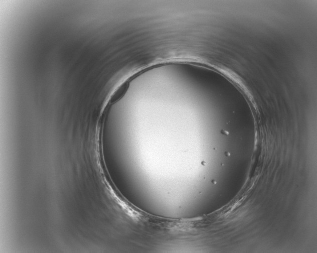 X0000059811006200510241350