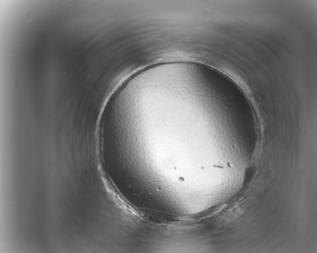 X0000059811008200510241350