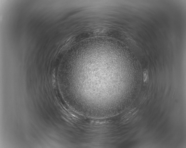 X0000059811011200510241350