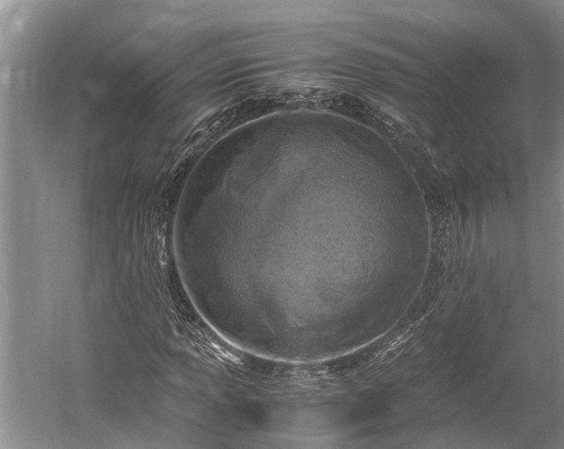 X0000059811013200510241350