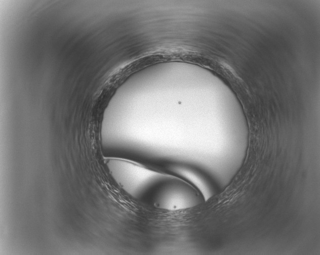 X0000059811016200510241350