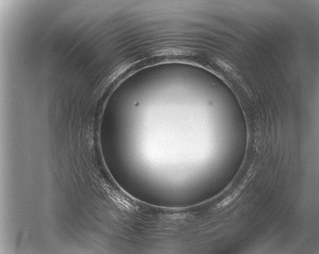 X0000059811017200510241350