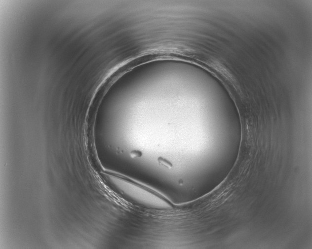 X0000059811020200510241350