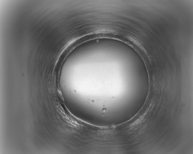 X0000059811021200510241350