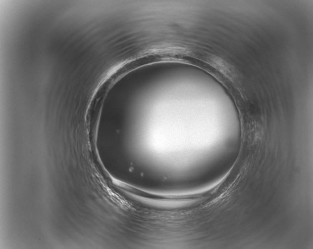 X0000059811022200510241350