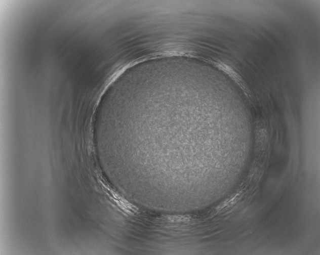 X0000059811023200510241350