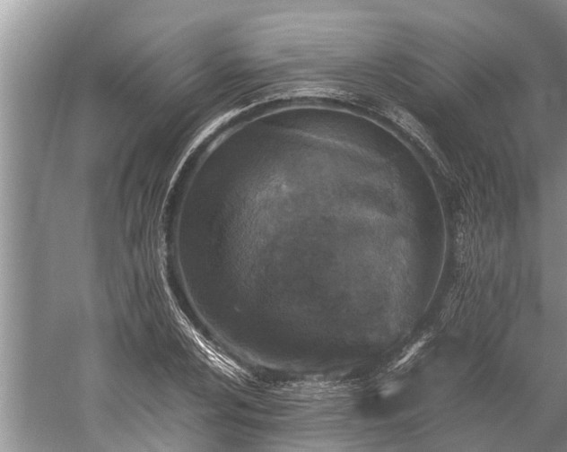 X0000059811024200510241350