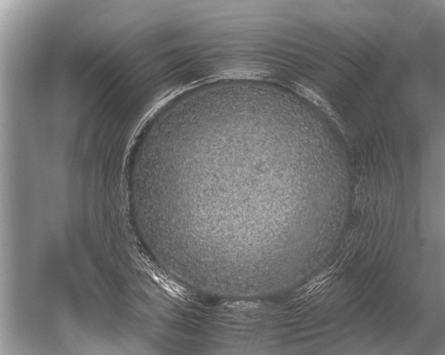 X0000059811027200510241350