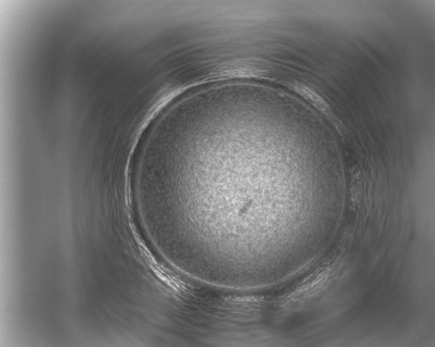 X0000059811031200510241350