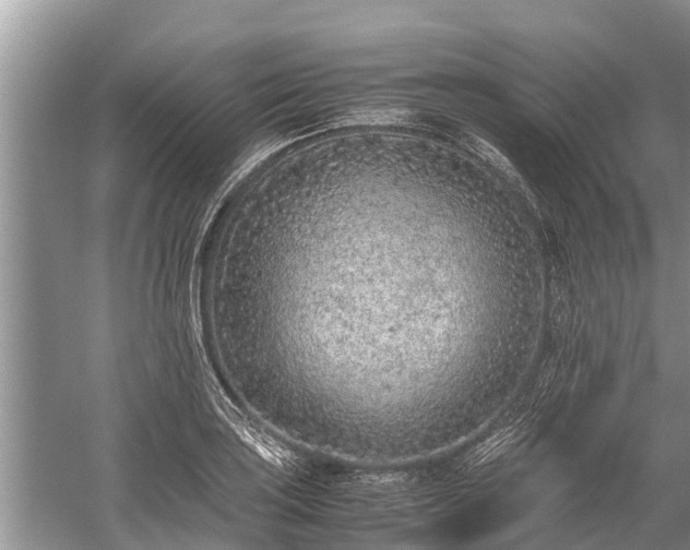 X0000059811035200510241350