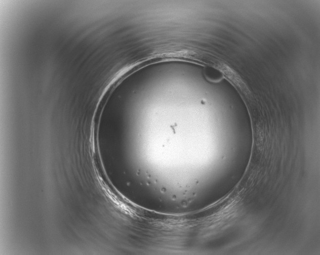 X0000059811036200510241350