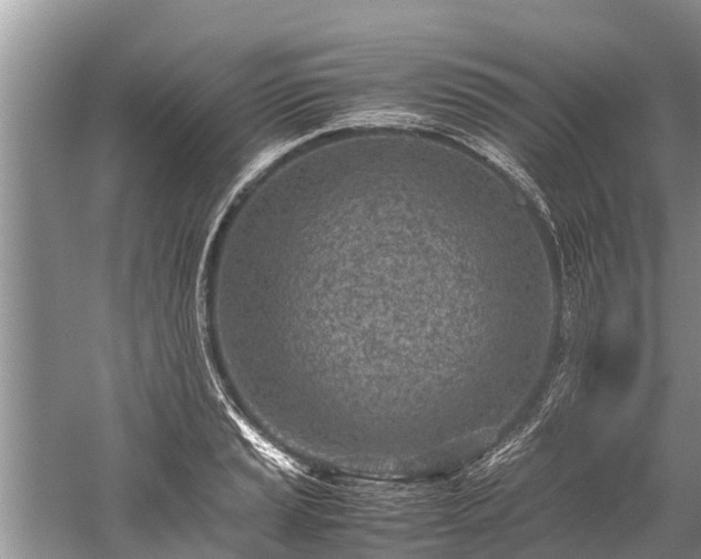 X0000059811037200510241350