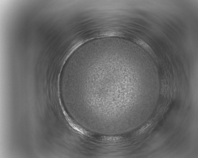 X0000059811039200510241350