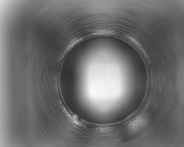 X0000059811041200510241350