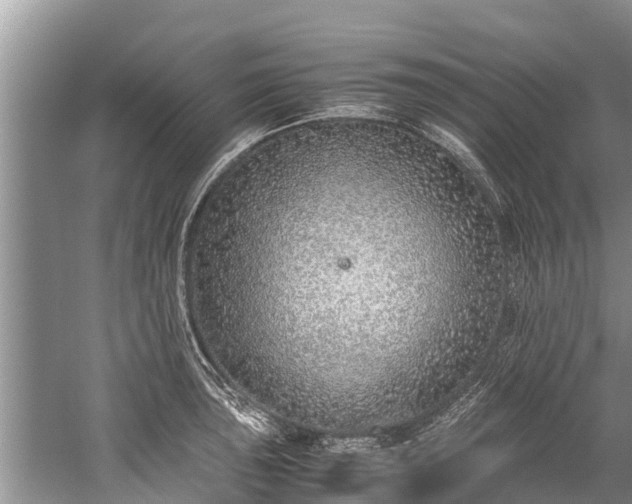 X0000059811043200510241350