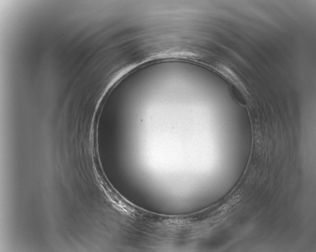 X0000059811044200510241350