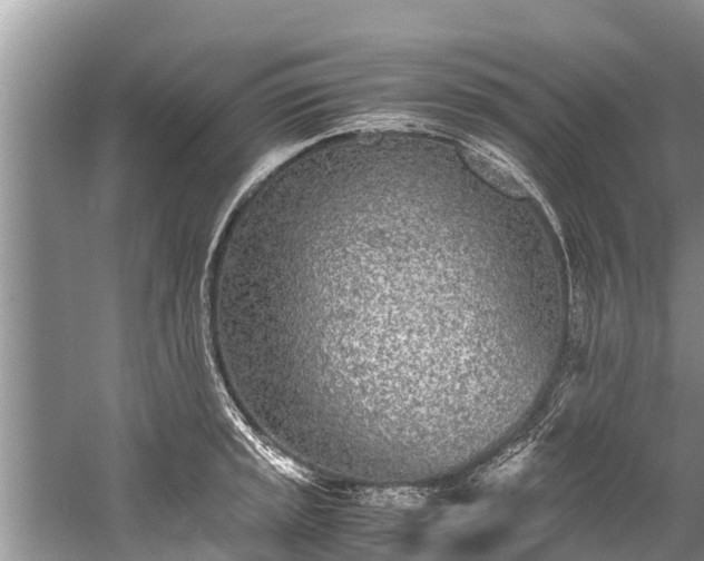 X0000059811045200510241350