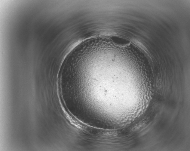 X0000059811047200510241350