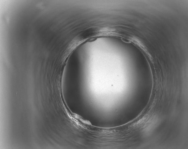 X0000059811049200510241350