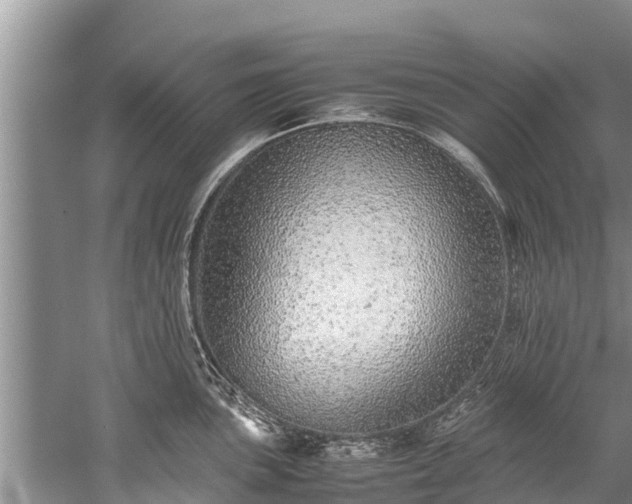 X0000059811051200510241350