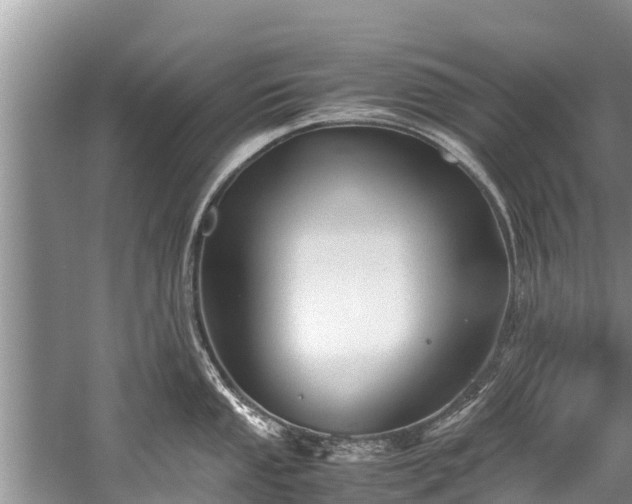 X0000059811053200510241350