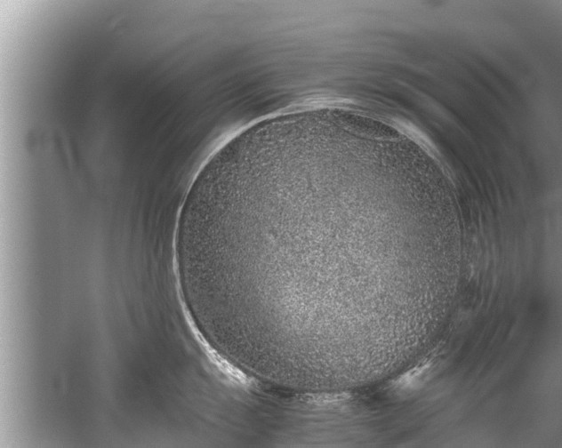 X0000059811055200510241350