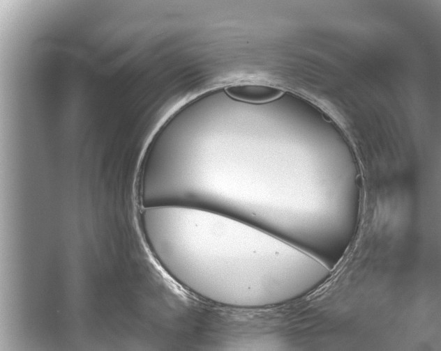 X0000059811056200510241350