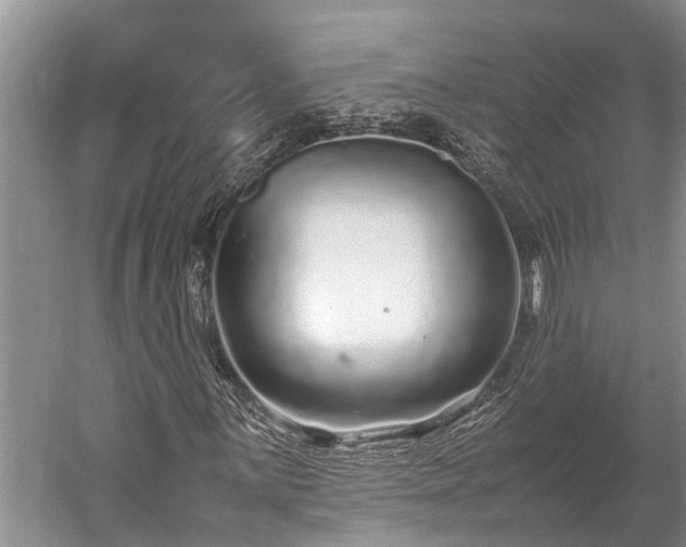 X0000059811059200510241349