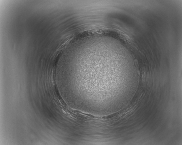 X0000059811060200510241349