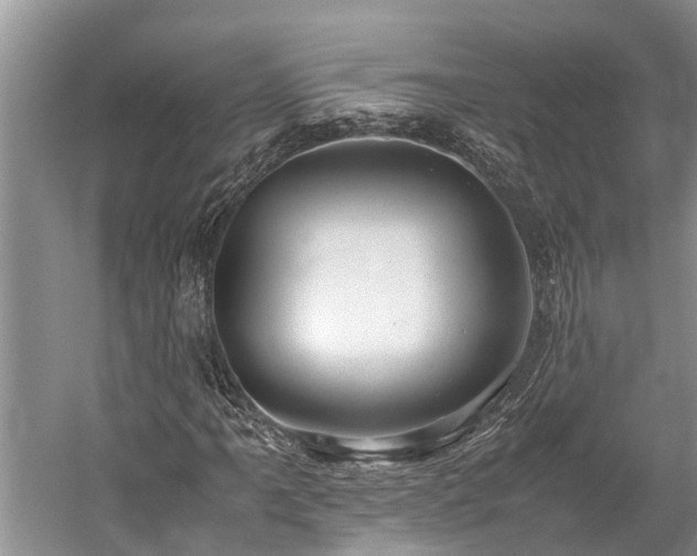 X0000059811061200510241349