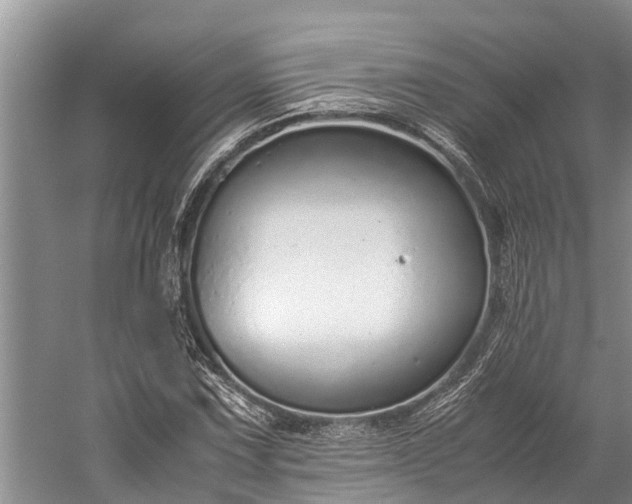 X0000059811067200510241349