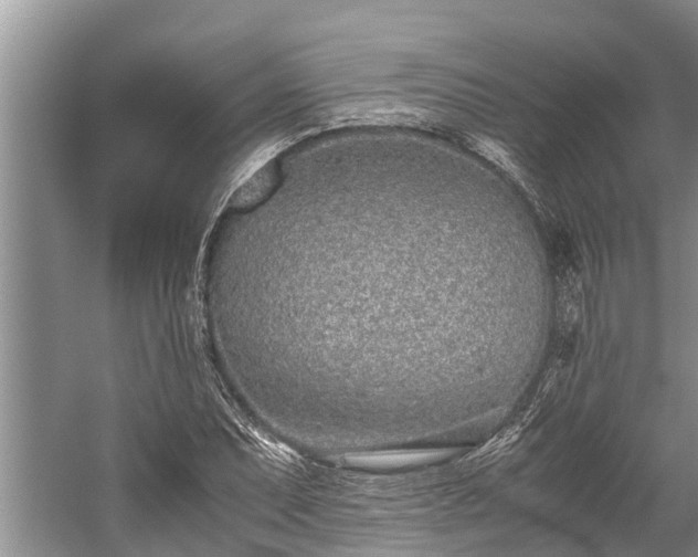 X0000059811071200510241349