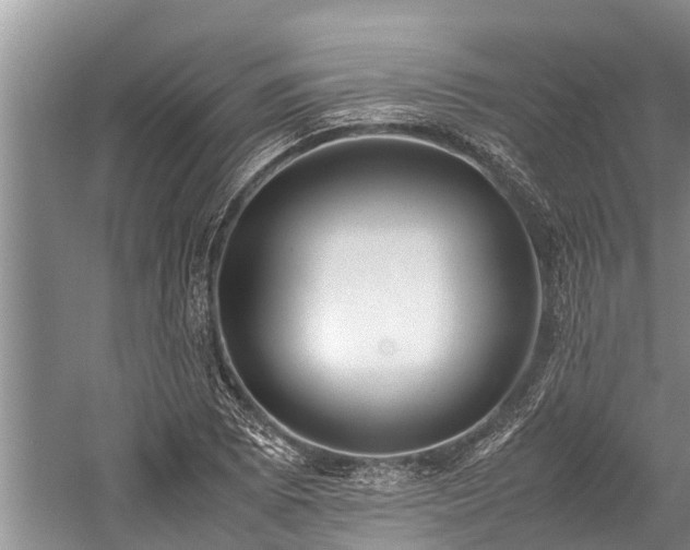 X0000059811073200510241349