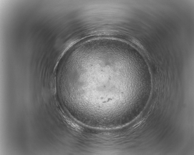 X0000059811075200510241349