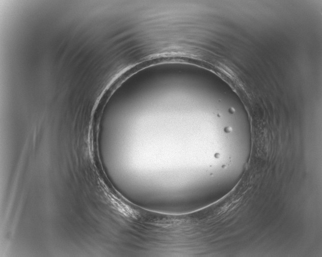 X0000059811076200510241349