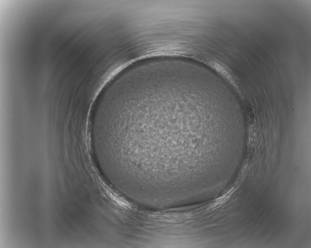 X0000059811077200510241349