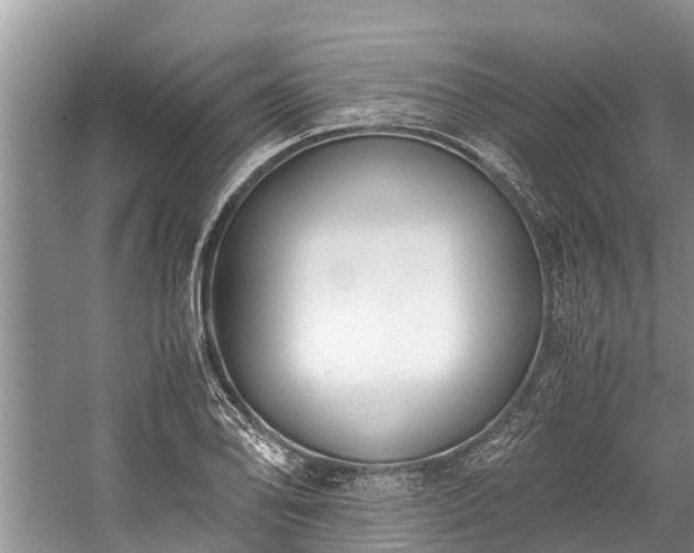 X0000059811078200510241349