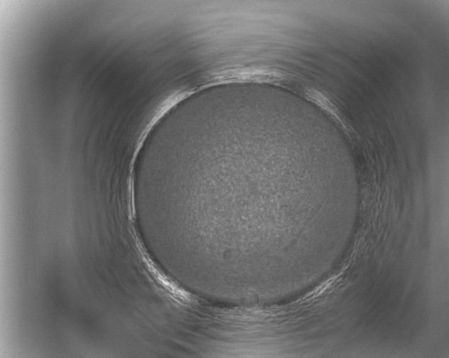 X0000059811079200510241349