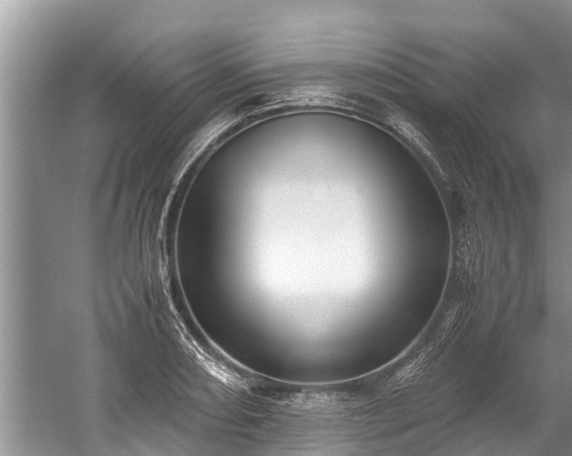 X0000059811082200510241349