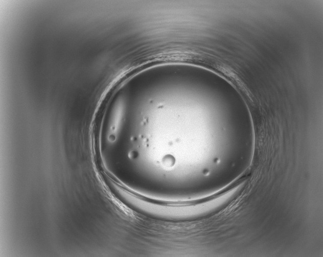 X0000059811083200510241349