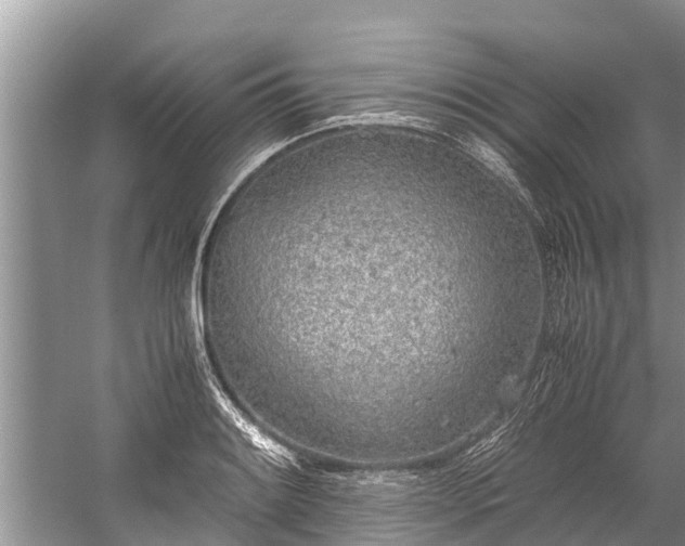 X0000059811084200510241349