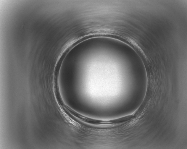 X0000059811085200510241349