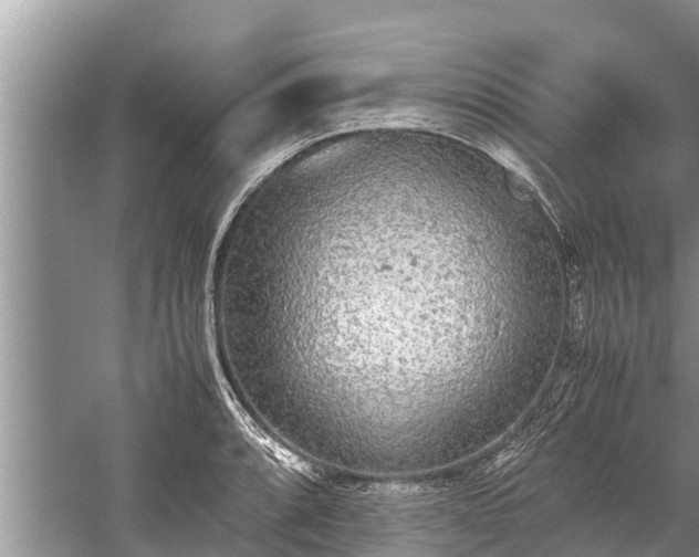 X0000059811088200510241349