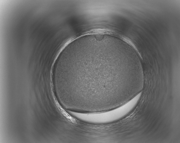 X0000059811091200510241349