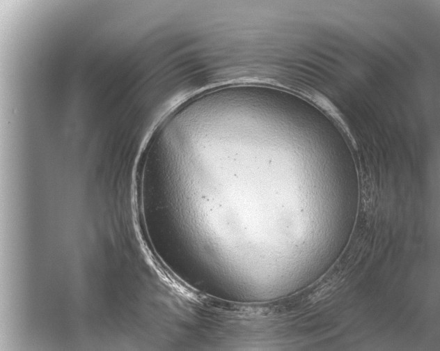 X0000059811096200510241349