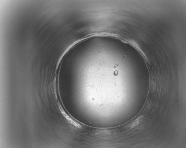 X0000059811100200510241349