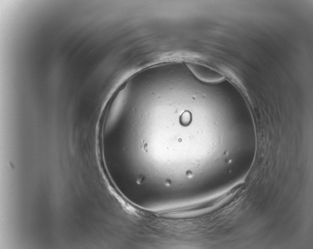 X0000059811103200510241349